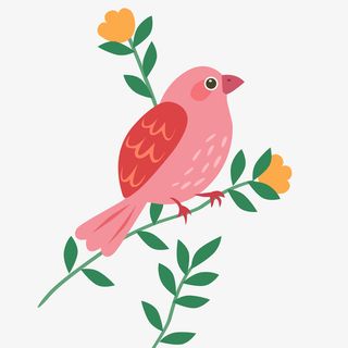 花鸟 春季  植物素材免抠