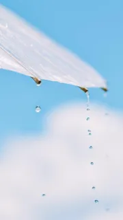 夏天，伞，蓝色高清