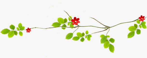 花枝花草树枝绿叶免抠