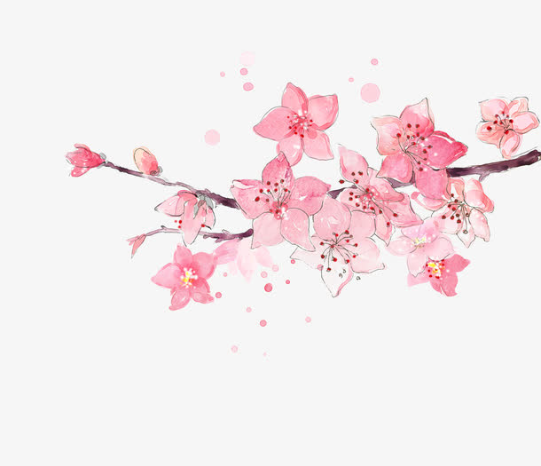 水彩樱花免抠