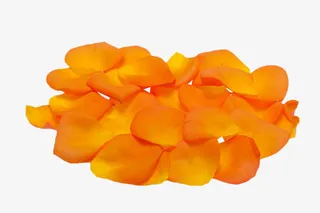 一堆黄色玫瑰花瓣免抠