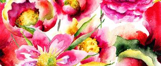 水彩中国花高清