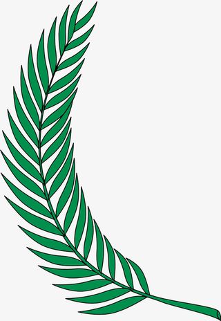 手绘叶子免抠