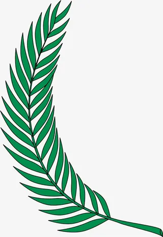 手绘叶子免抠