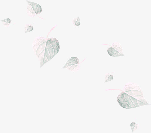白树叶免抠图片免抠