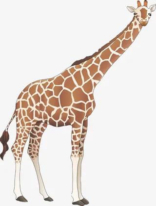 手绘长颈鹿素材图片免抠