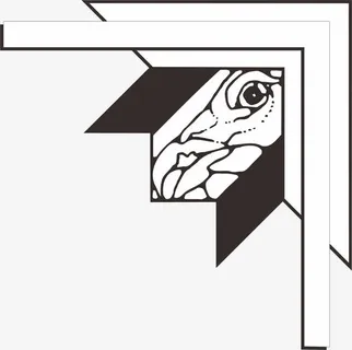 花边角花底纹边框素材免抠