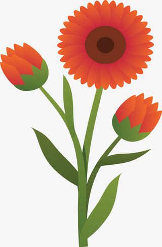 橘红春天的小雏菊免抠