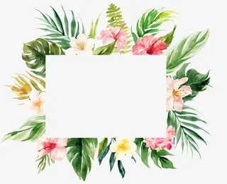 方形的花朵边框手绘免抠