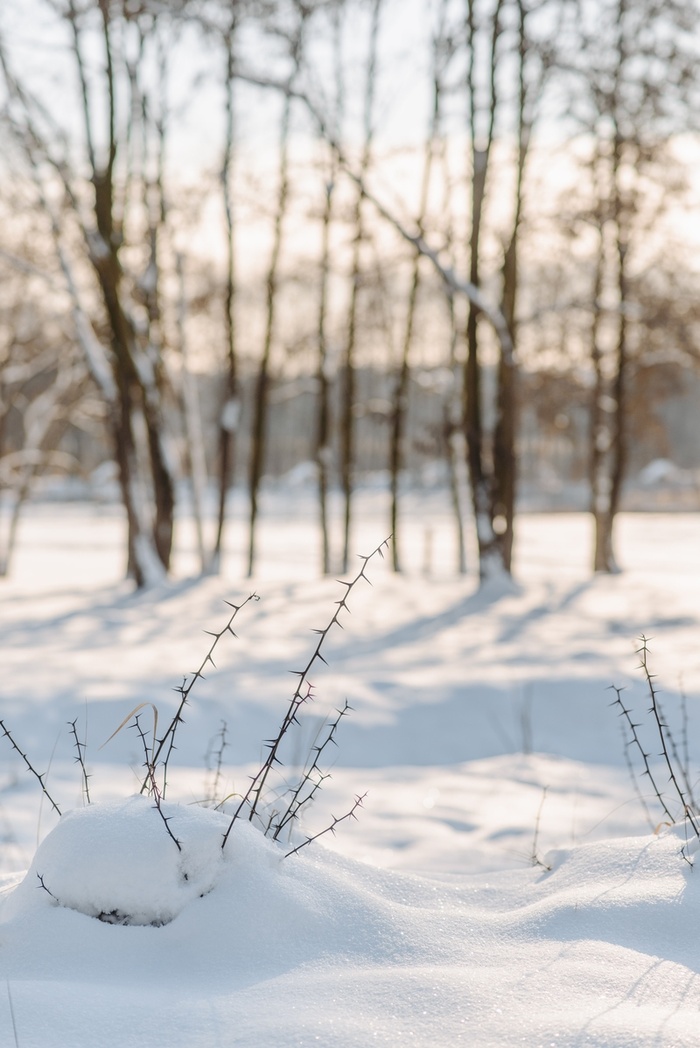 唯美的雪地背景高清