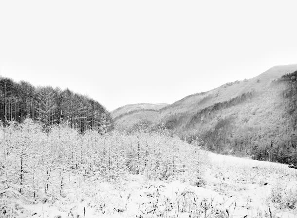 灰色高清冬季雪地风景免抠