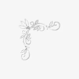 白色金属边框装饰图案免抠