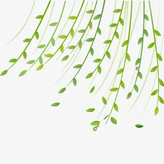 春天漂浮柳叶免抠素材免抠