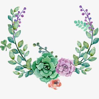 花边 手绘  边框 底纹 卡通免抠