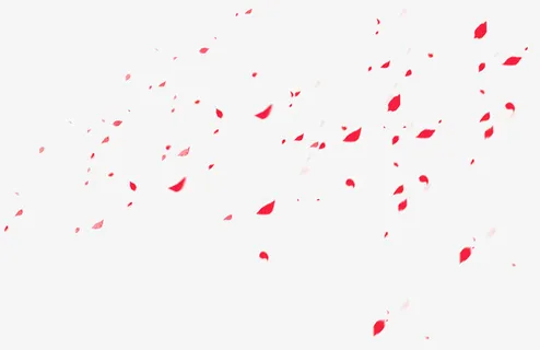 红色飘散的花瓣免抠素材免抠漂浮花瓣元素