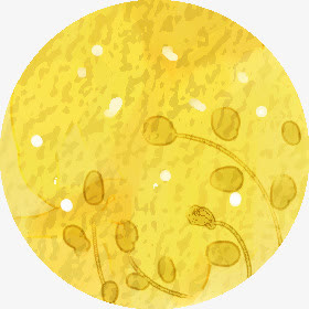 手绘黄色卡通花纹底纹免抠