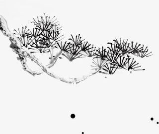 水墨风格枝丫免抠