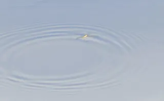 透明渐变蓝底波纹免抠