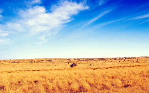 黄色麦田蓝色天空背景