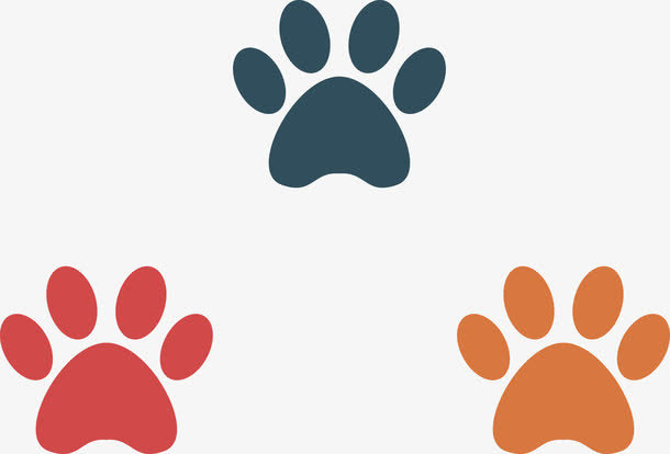 卡通可爱三色猫爪印矢量图免抠