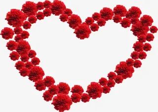 红色鲜花康乃馨爱心免抠