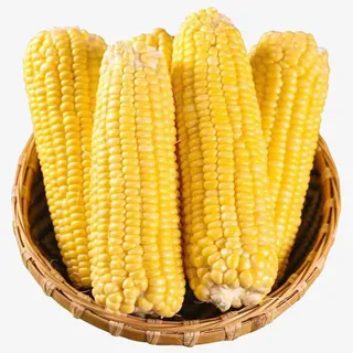 甜玉米黄玉米免抠
