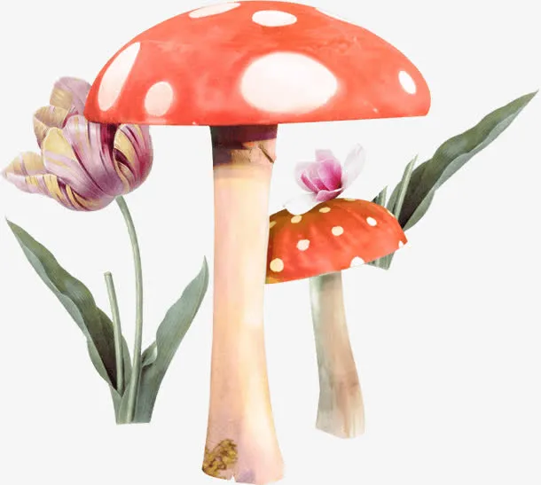 重拾童真 蘑菇 花朵免抠