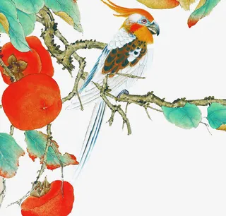 手绘花鸟画素材免抠