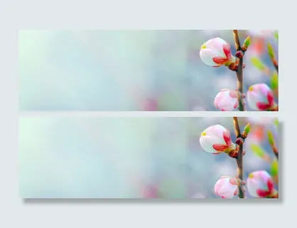 春天的花蕾背景高清 春天的花蕾背景高清