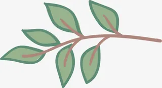 绿色树叶圣诞装饰免抠