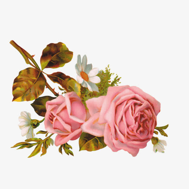 花卉元素免抠