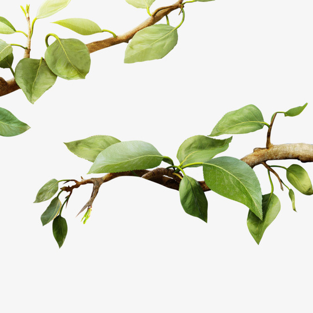 夏日 夏天 元素 PNG 素材免抠免抠