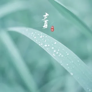 二十四节气——立夏高清