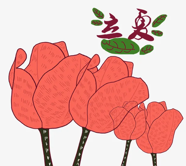 手绘插画花卉立夏主题插图免抠