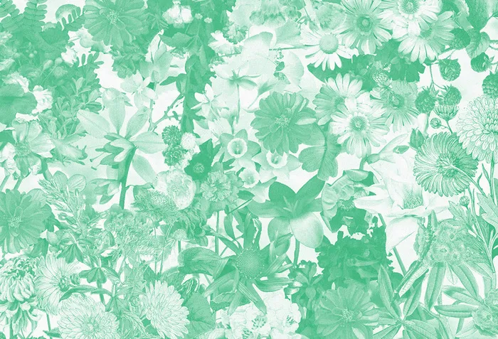 底纹花卉背景素材高清