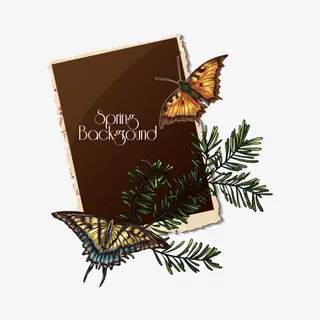 矢量蝴蝶边框纹理免扣素材免抠