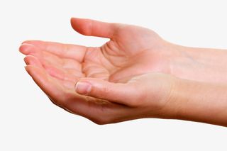 实物双手手捧免抠