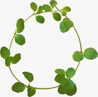 环形树叶枝实物免抠