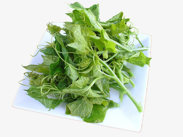 丝瓜藤免抠