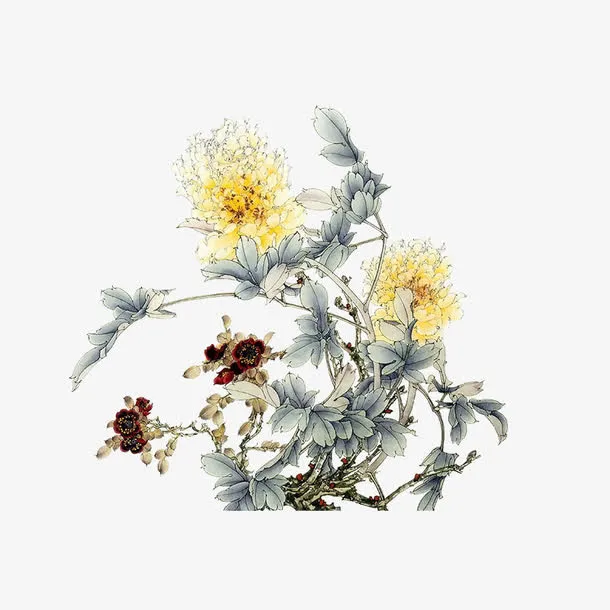 牡丹免抠