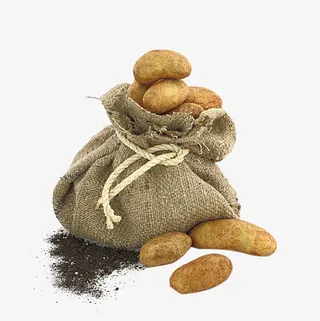 布袋土豆泥土免抠