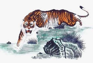 手绘老虎免抠