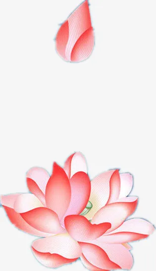 国风荷花图案素材免抠