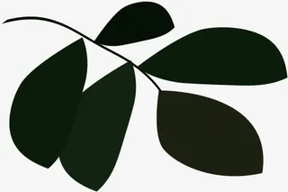 黑色树叶装饰节日免抠