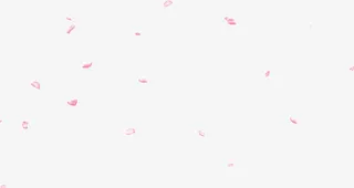 粉色时尚漂浮花瓣免抠