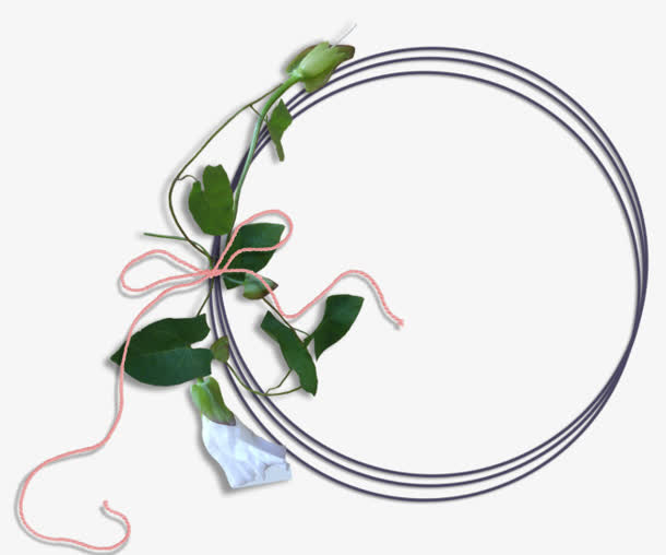 唯美绳索圆形边框相框免抠