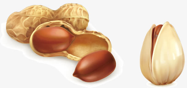 花生和开心果矢量图免抠