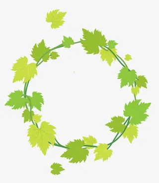 圆形绿叶免抠