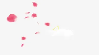 飘浮花瓣免抠