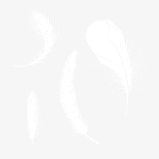飘落的羽毛素材免抠